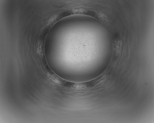 X0000061140619200511241805