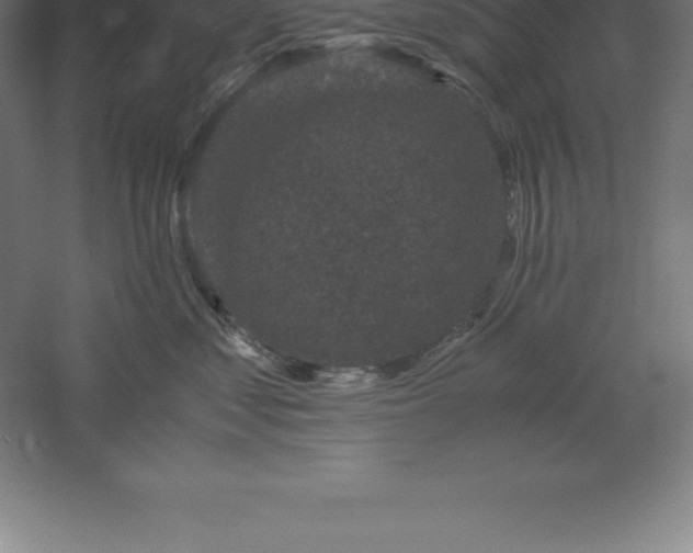 X0000061140621200511241805