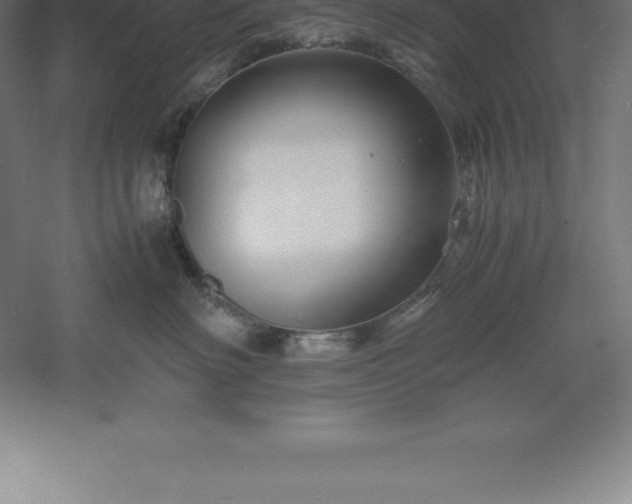 X0000061140622200511241805