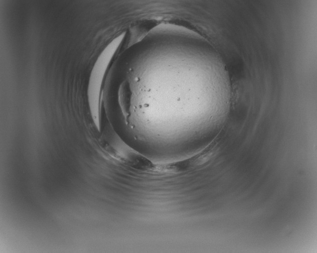 X0000061140623200511241805