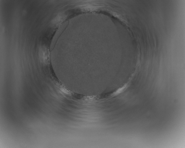 X0000061140624200511241805