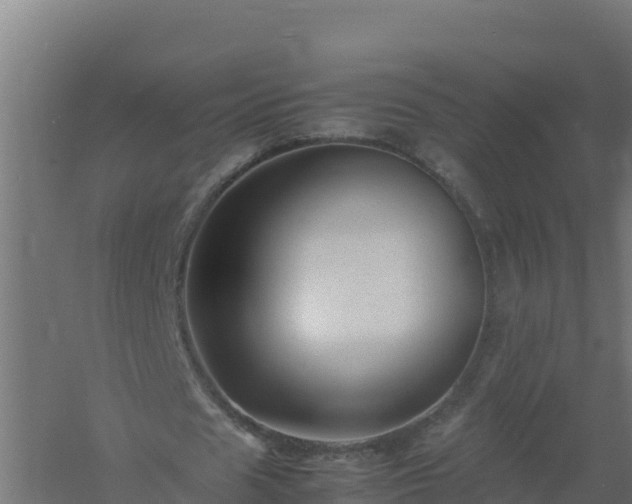 X0000061140625200511241804