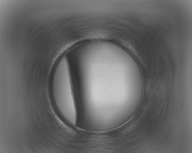 X0000061140629200511241804