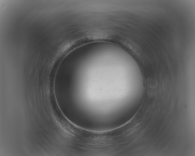 X0000061140631200511241805