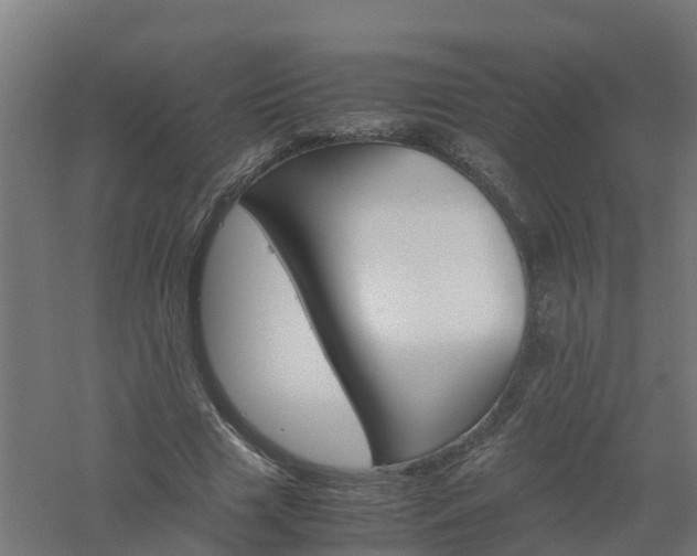 X0000061140633200511241805