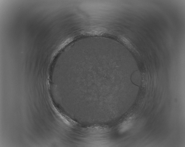 X0000061140634200511241805