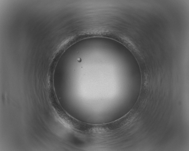 X0000061140636200511241805