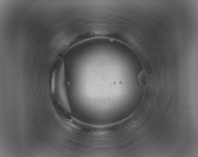 X0000061140639200511241805