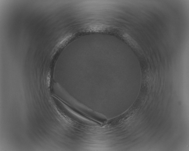 X0000061140640200511241805