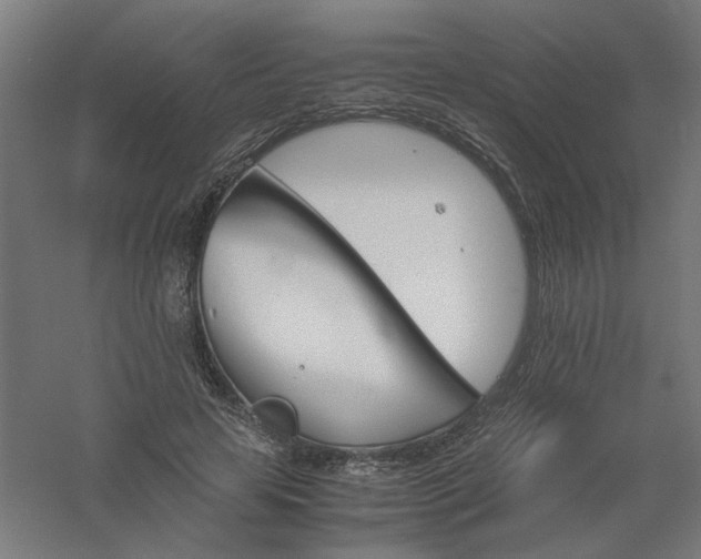 X0000061140641200511241805