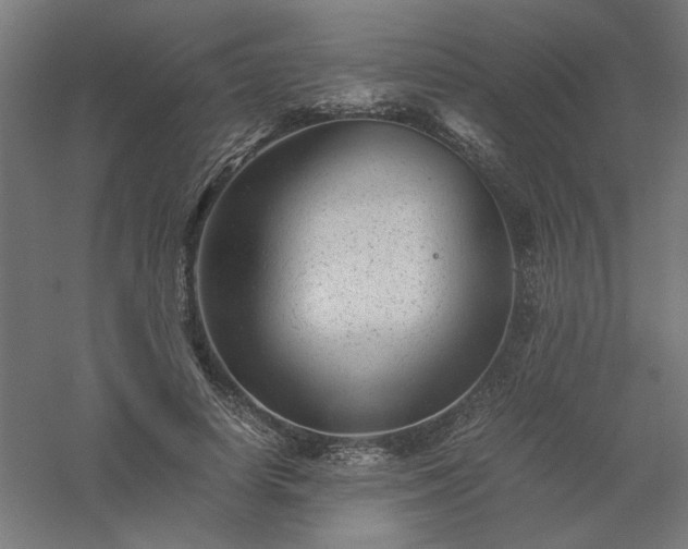 X0000061140642200511241805