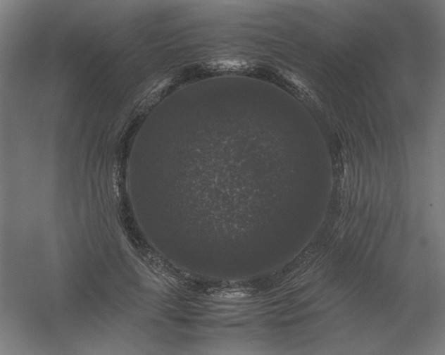 X0000061140643200511241805