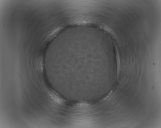 X0000061140644200511241805