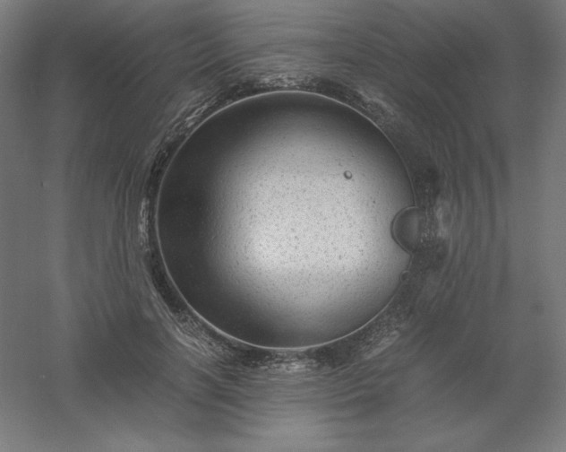 X0000061140646200511241805