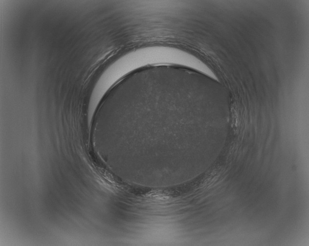 X0000061140648200511241805