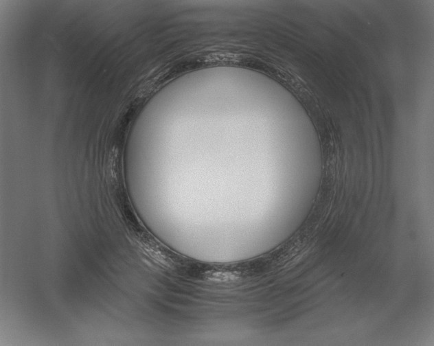 X0000061140649200511241805