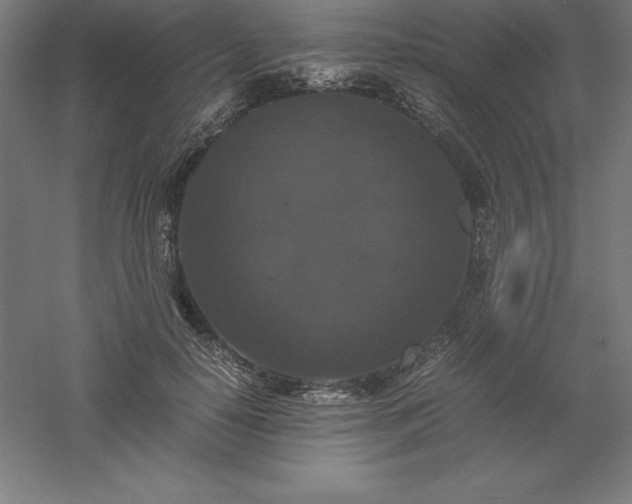 X0000061140650200511241805