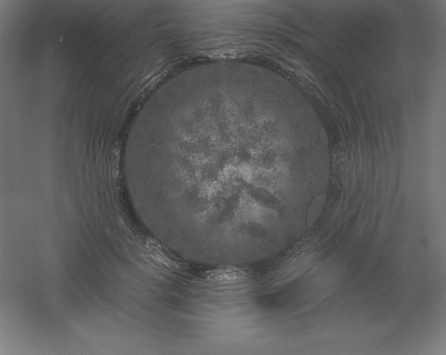 X0000061140652200511241805