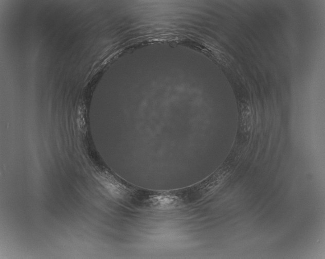 X0000061140654200511241805