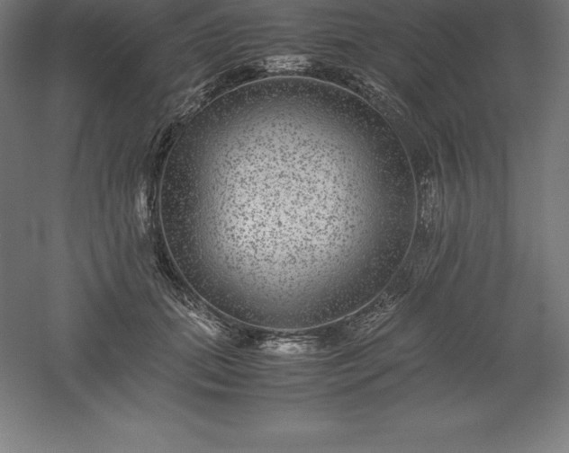 X0000061140655200511241805