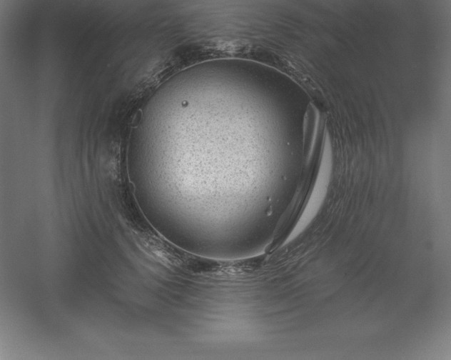 X0000061140656200511241805