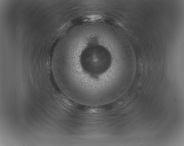 X0000061140657200511241805