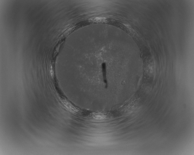 X0000061140658200511241805