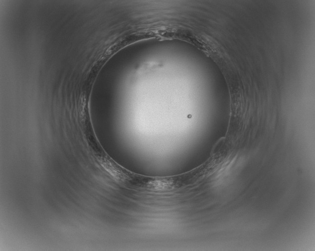 X0000061140660200511241805