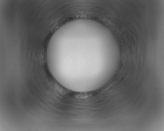 X0000061140661200511241805