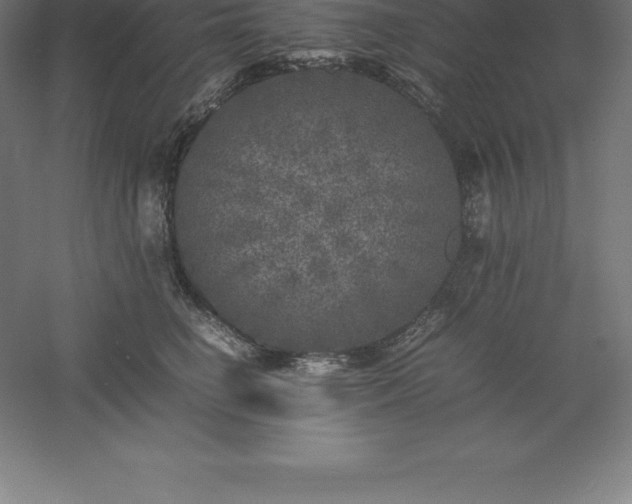 X0000061140662200511241805