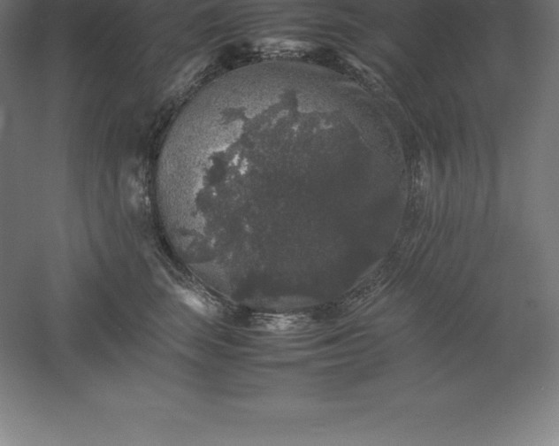 X0000061140663200511241805