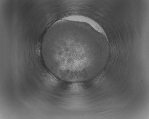 X0000061140664200511241805