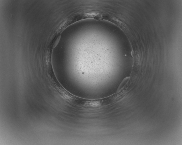 X0000061140665200511241805