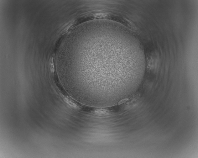 X0000061140666200511241805