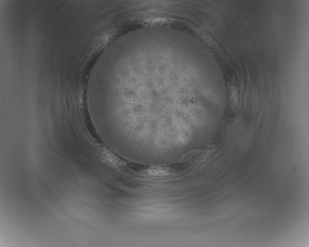 X0000061140668200511241805