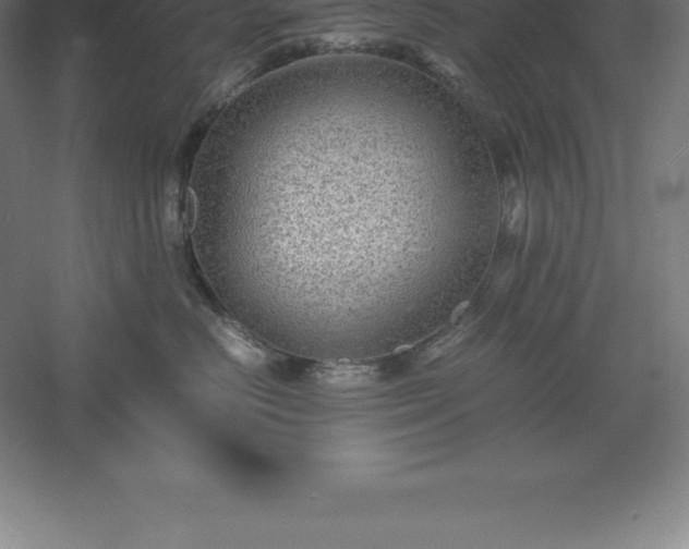 X0000061140670200511241805