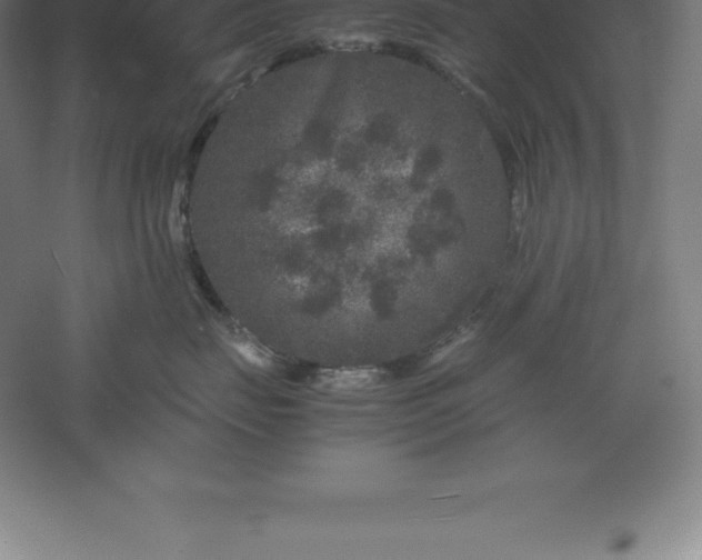 X0000061140671200511241805