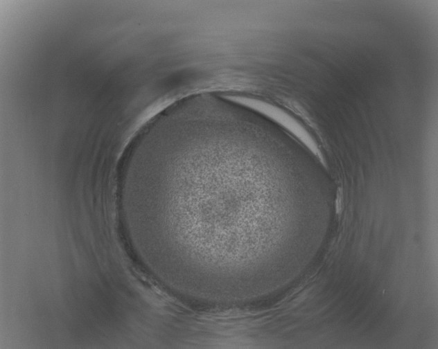 X0000061140675200511241804