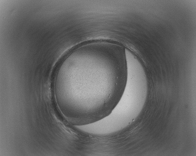 X0000061140676200511241804