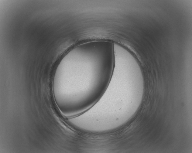 X0000061140677200511241804