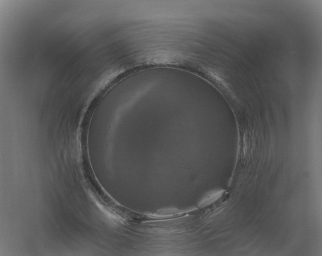 X0000061140678200511241804