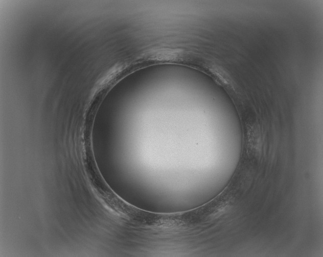 X0000061140682200511241804