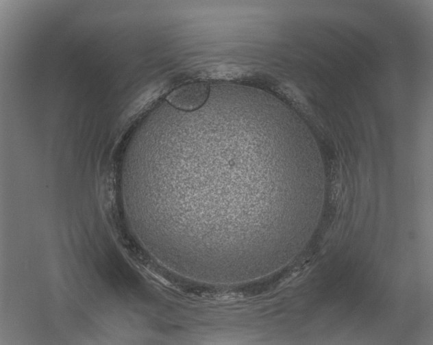 X0000061140683200511241804