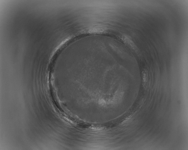 X0000061140684200511241804