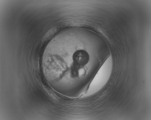 X0000061140685200511241804