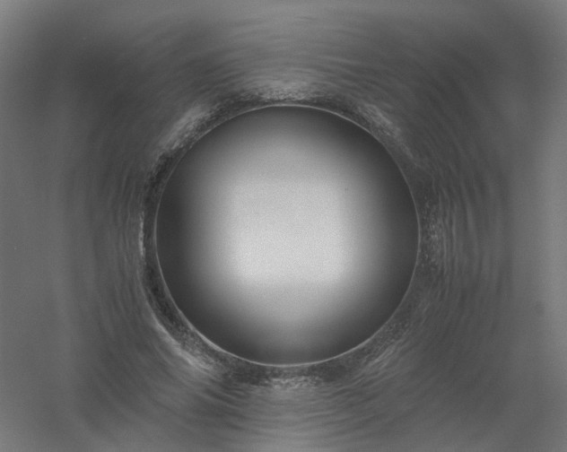 X0000061140686200511241804