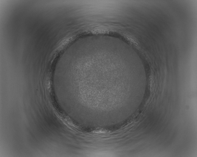 X0000061140687200511241804