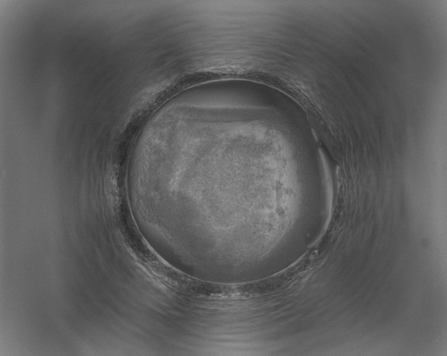 X0000061140688200511241804