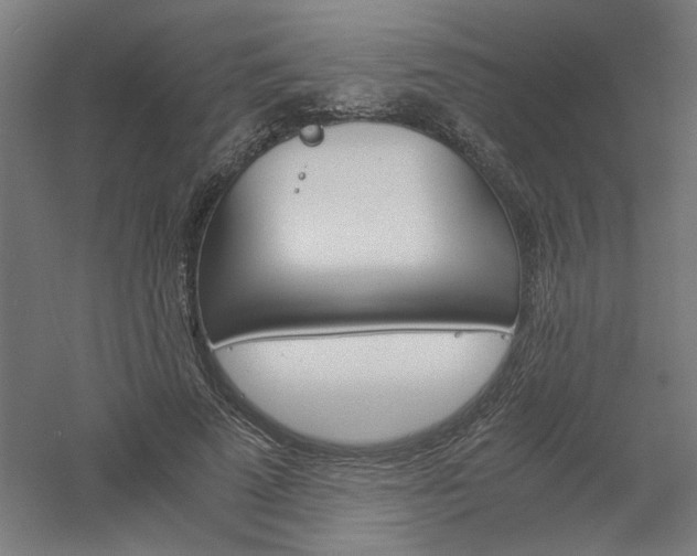 X0000061140689200511241804