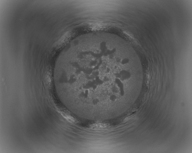 X0000061140691200511241804